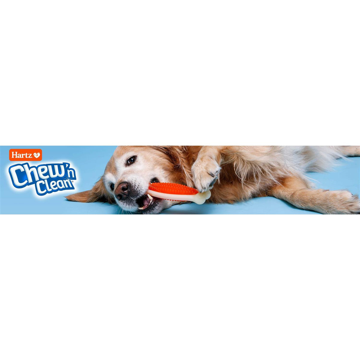 Chew 'n Clean Dental Duo Dog Chew Toy A6860
