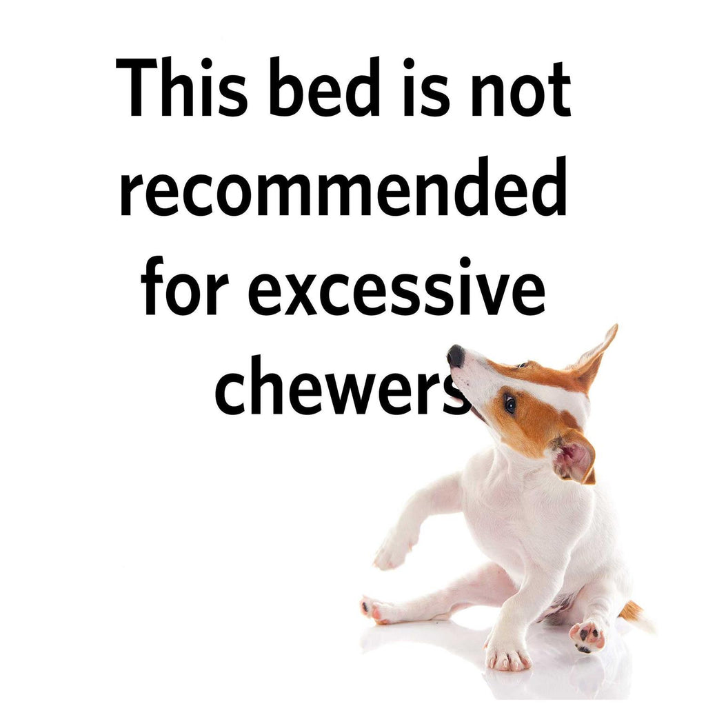 Reversible Paw Print Bed B4458