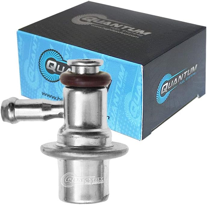 Fuel Pump with Strainer, Filter and Regulator Replacement U63533