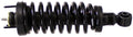 Suspension Strut and Coil Spring Assembly B69250