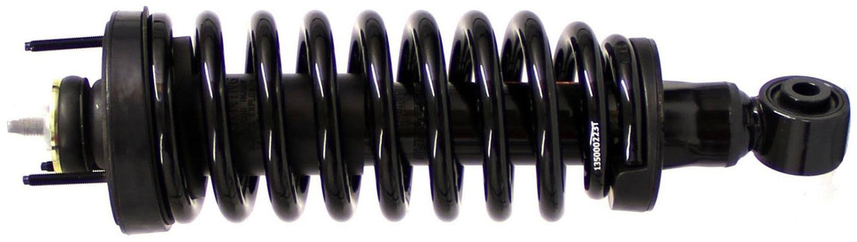 Suspension Strut and Coil Spring Assembly B69250