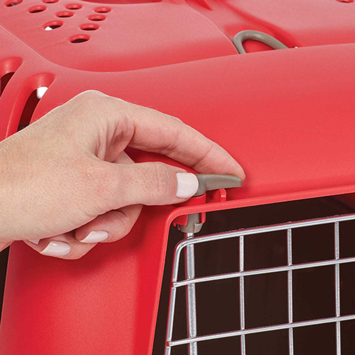 Plastic Pet Carrier X698