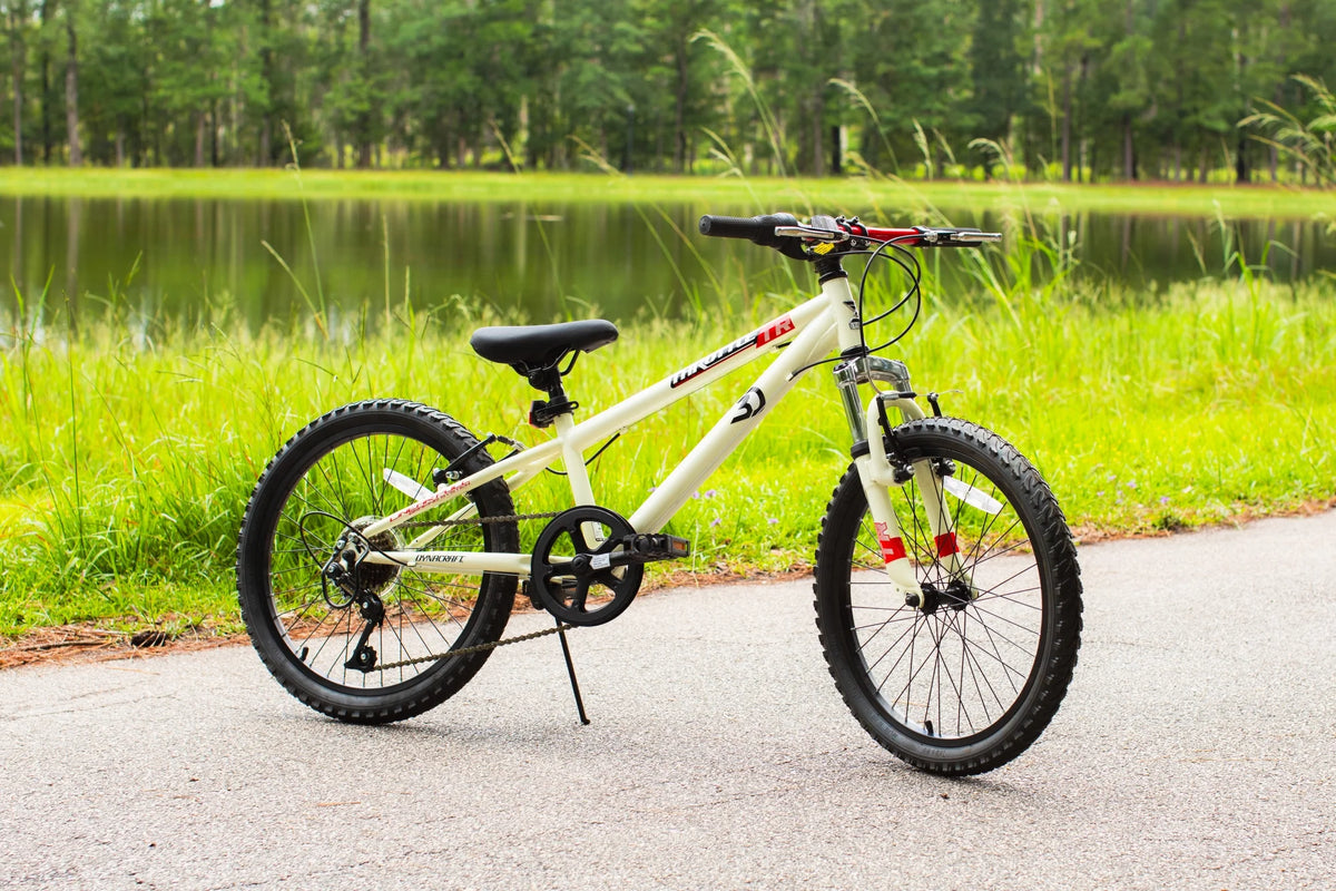 20-Inch Boys BMX Bike W6198