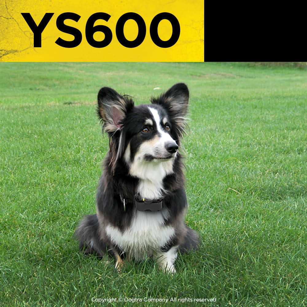 No Bark Collar I8869