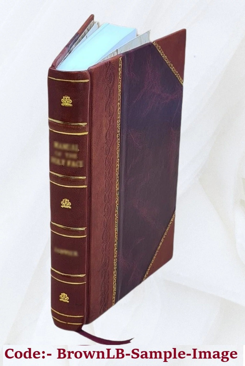 Pastels in Prose Leather Bound S653
