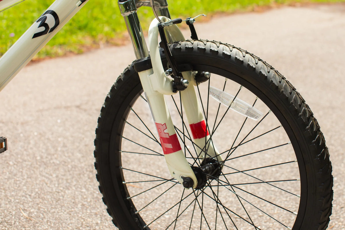 20-Inch Boys BMX Bike W6198