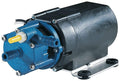 Carpet Cleaner Pump, 115 Volts Z914332