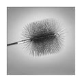 9x22 x 13x22 Heavy-Duty Round Wire Brush Z3542