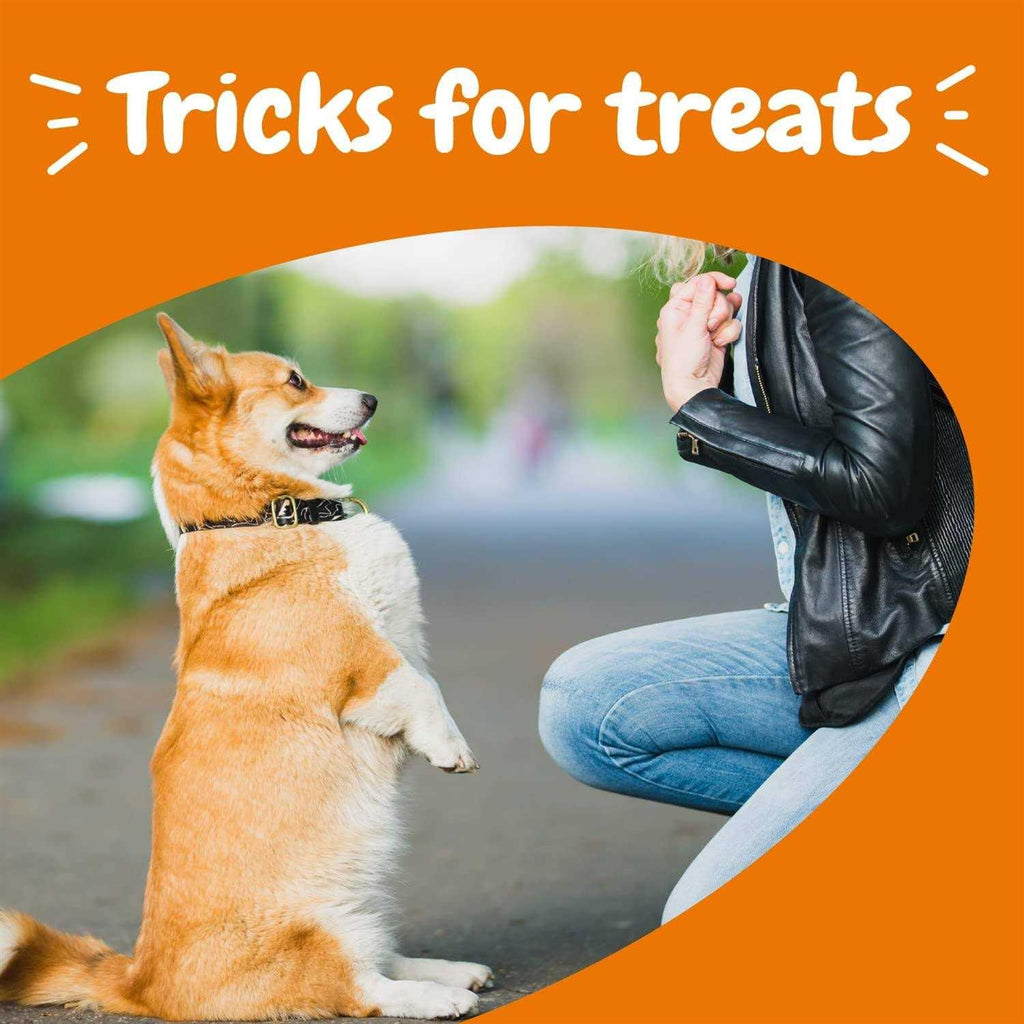 Training Treats for Dogs I749