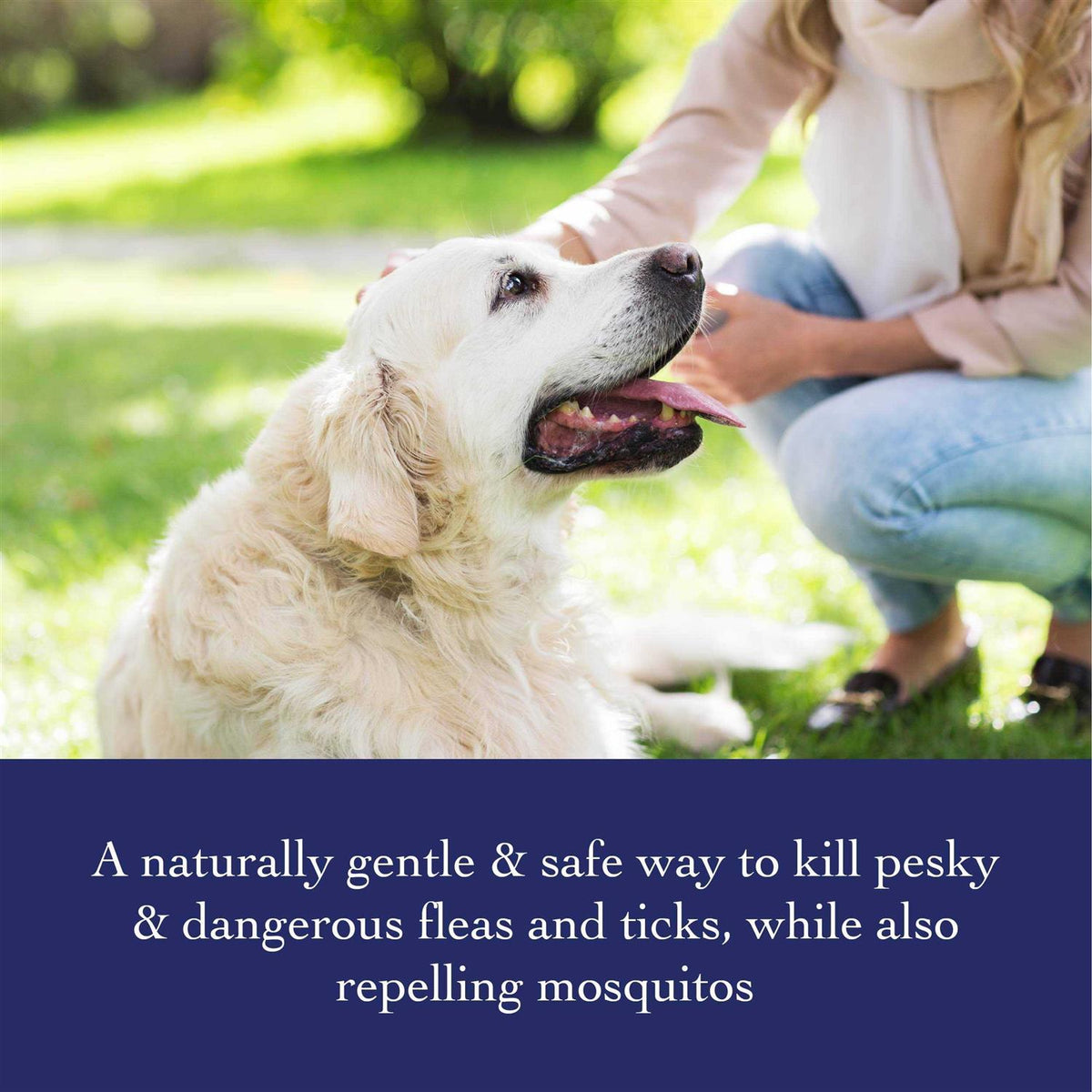 Flea & Tick Shampoo N71100