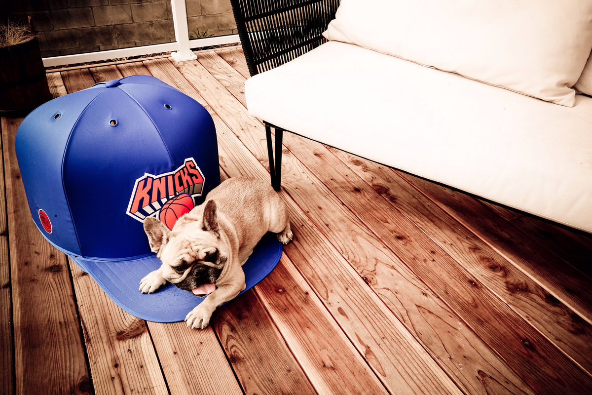 Pet Bed B6809