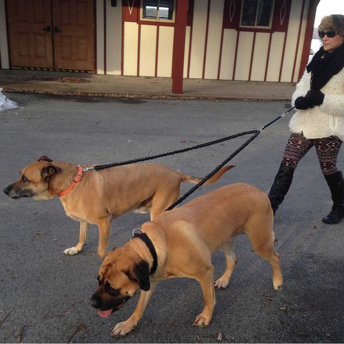 Two Dog Leash E775